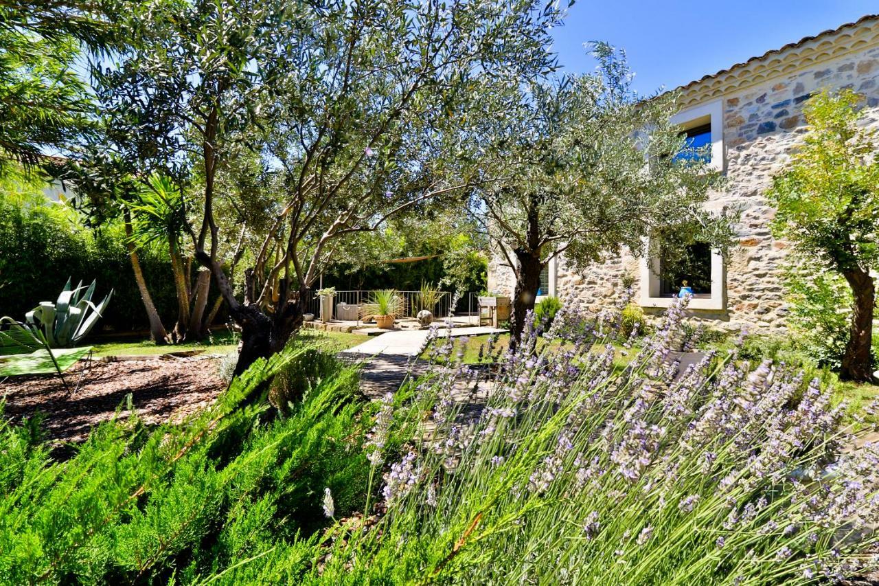 Des Brunes Bed & Breakfast Saint-Laurent-dʼAigouze